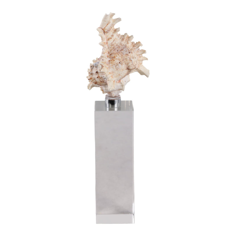 10x2-shell-on-crystal-base-ivory-clear-4