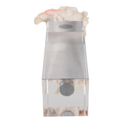 10x2-shell-on-crystal-base-ivory-clear-7