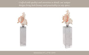 10x2-shell-on-crystal-base-ivory-clear-9