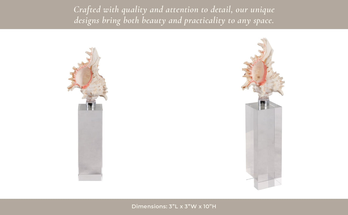 10x2-shell-on-crystal-base-ivory-clear-9