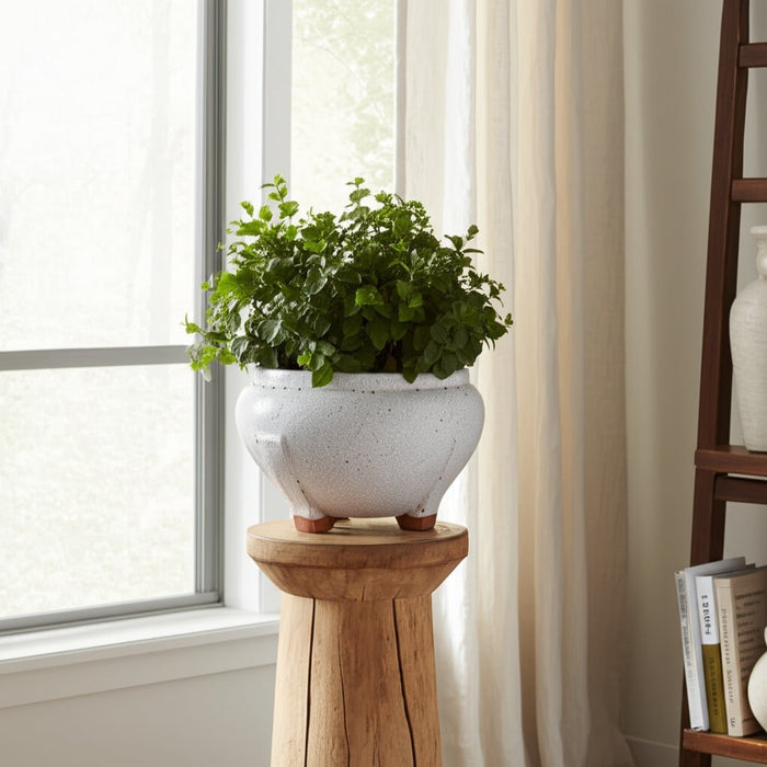 10x6-footed-planter-white-10