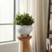 10x6-footed-planter-white-10