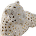 10x6-leopard-lying-down-white-gold-5