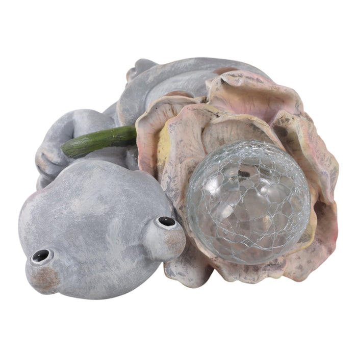 10x9-blushing-turtle-with-solar-flower-grey-mult-6