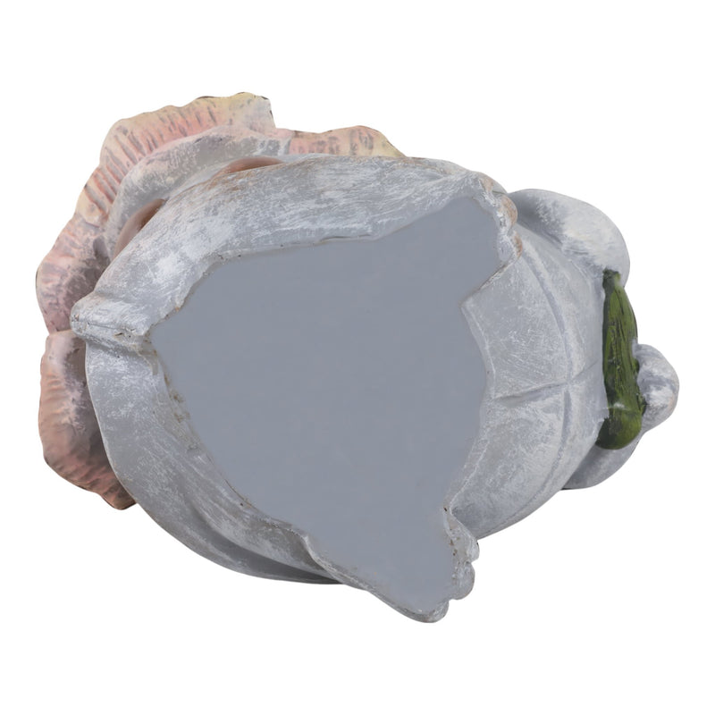 10x9-blushing-turtle-with-solar-flower-grey-mult-7