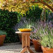 11-flower-bird-bath-yellow-9