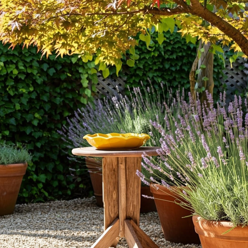 11-flower-bird-bath-yellow-9