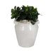 11-squared-handle-crackle-vase-white-2