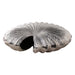 11x10-seashell-metal-vase-silver-6