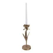 11x4-flower-bloom-taper-holder-champagne-2