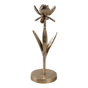 11x4-flower-bloom-taper-holder-champagne-4