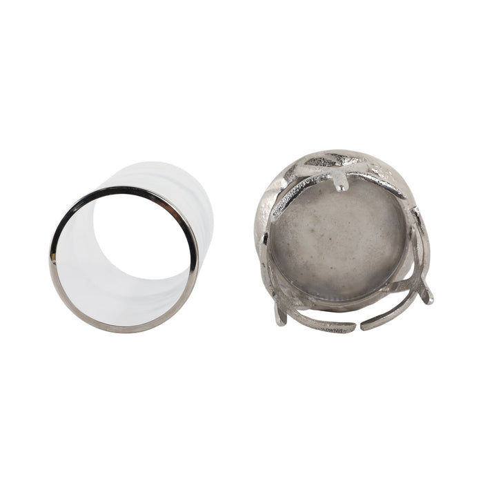 11x8-starfish-hurricane-silver-6