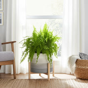 12-ceramic-planter-w-wood-stand-beige-mix-12