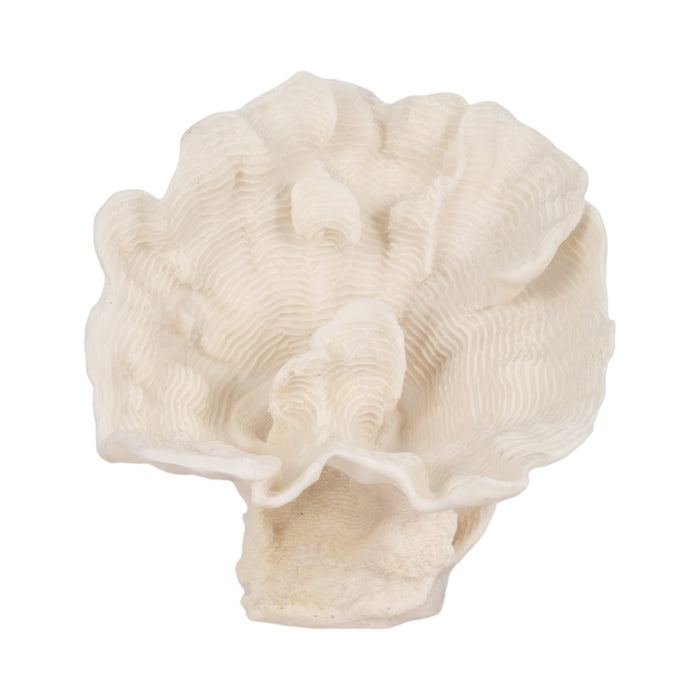 12-coral-fan-decor-ivory-1