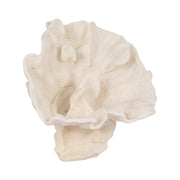 12-coral-fan-decor-ivory-2