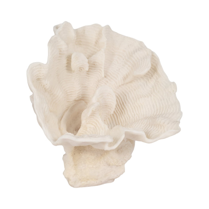 12-coral-fan-decor-ivory-2