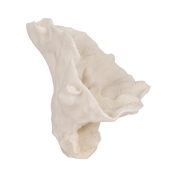 12-coral-fan-decor-ivory-3