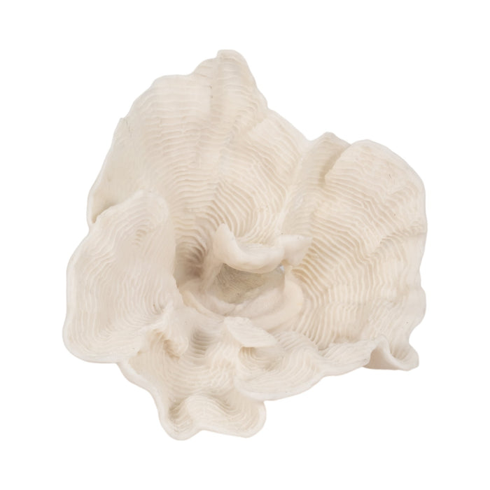 12-coral-fan-decor-ivory-6
