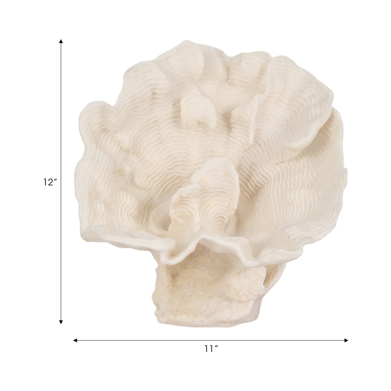 12-coral-fan-decor-ivory-8