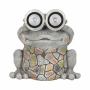 12-frog-with-solar-goggles-multi-1