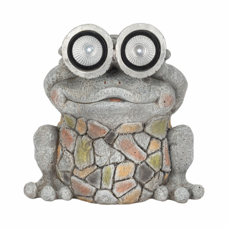 12-frog-with-solar-goggles-multi-1