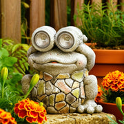 12-frog-with-solar-goggles-multi-10