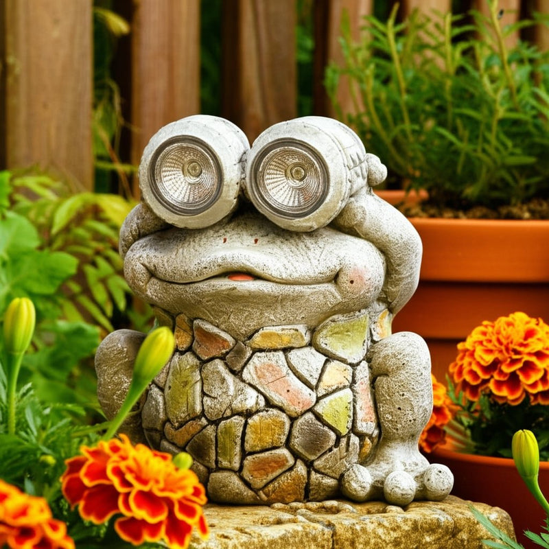 12-frog-with-solar-goggles-multi-10