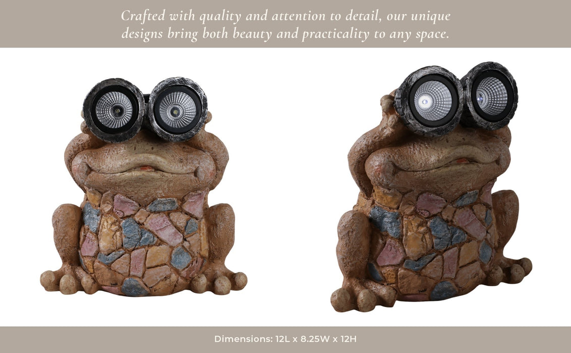 12-frog-with-solar-goggles-multi-13