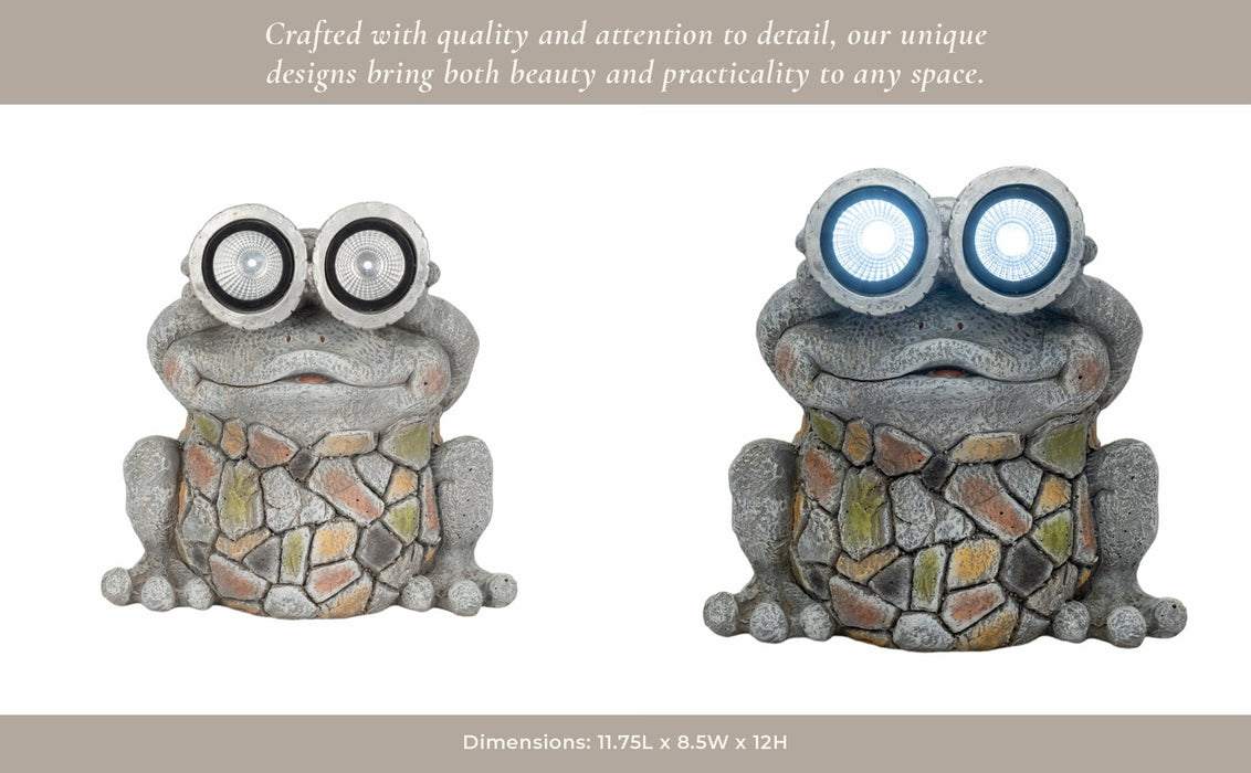 12-frog-with-solar-goggles-multi-14