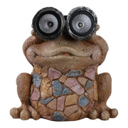 12-frog-with-solar-goggles-multi-1
