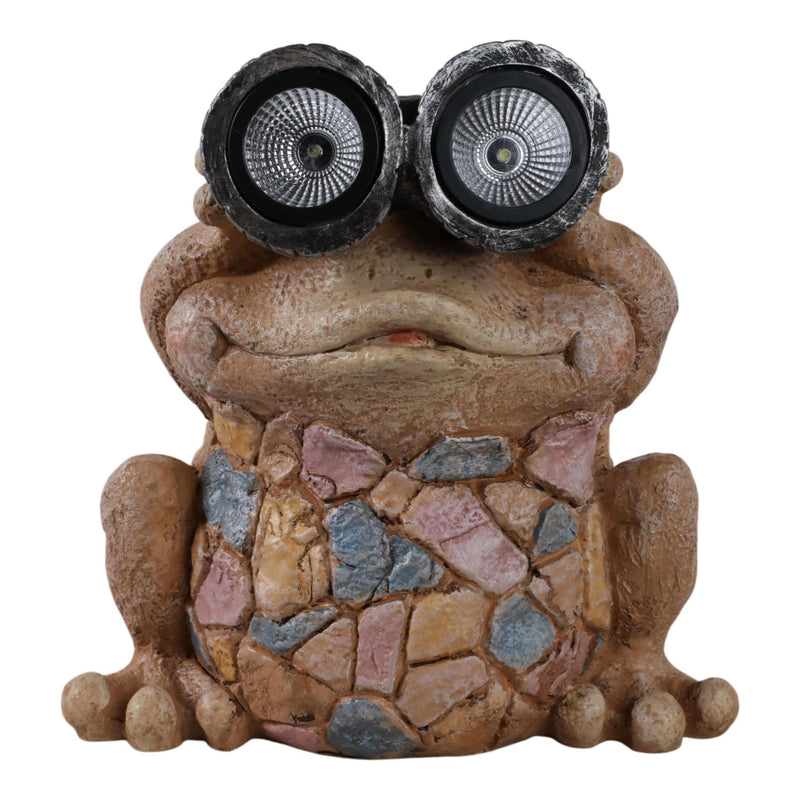 12-frog-with-solar-goggles-multi-1