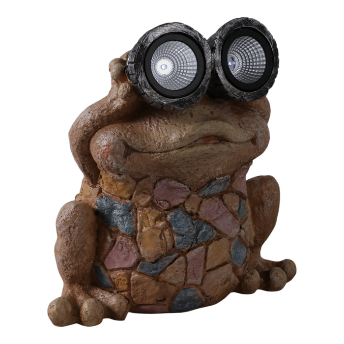 12-frog-with-solar-goggles-multi-2