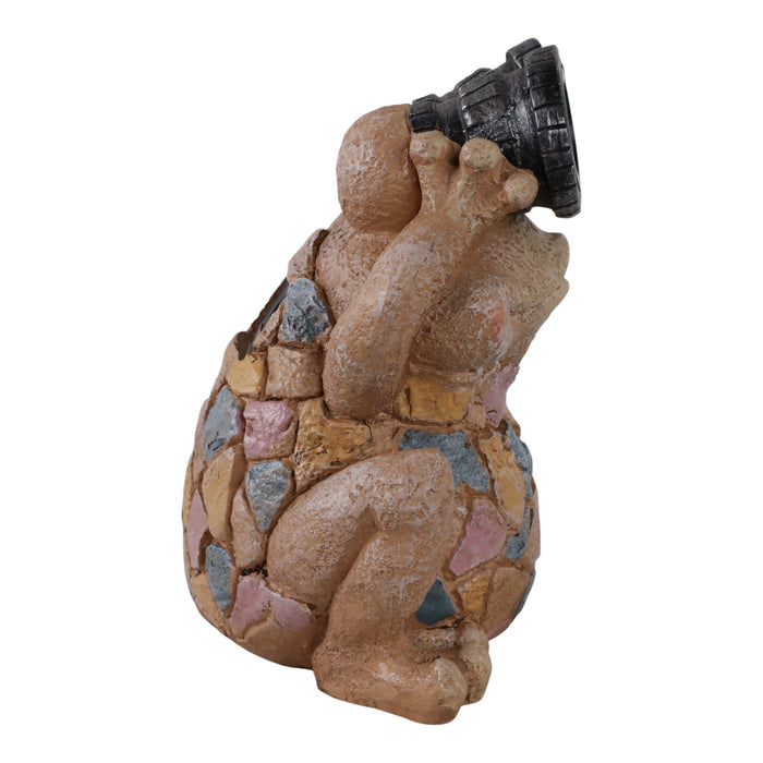 12-frog-with-solar-goggles-multi-3