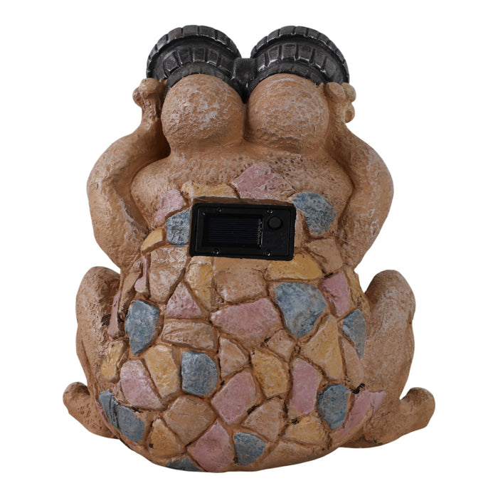 12-frog-with-solar-goggles-multi-4