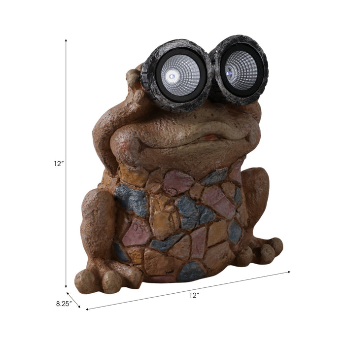 12-frog-with-solar-goggles-multi-8