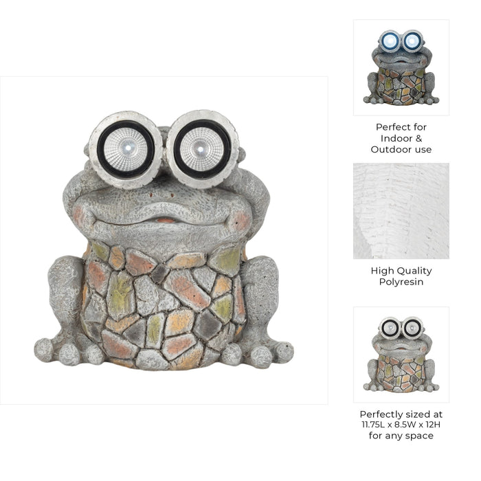 12-frog-with-solar-goggles-multi-9