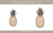 12-seashell-pineapple-multi-10