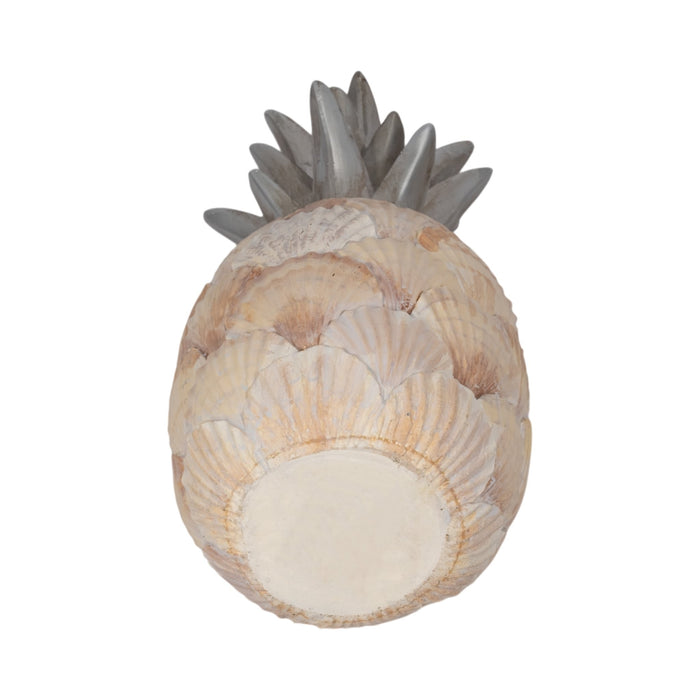 12-seashell-pineapple-multi-6
