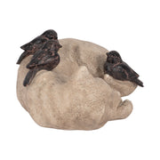 12-sleeping-kitty-with-birds-white-brown-3