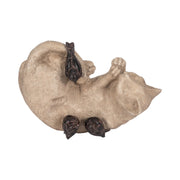 12-sleeping-kitty-with-birds-white-brown-7
