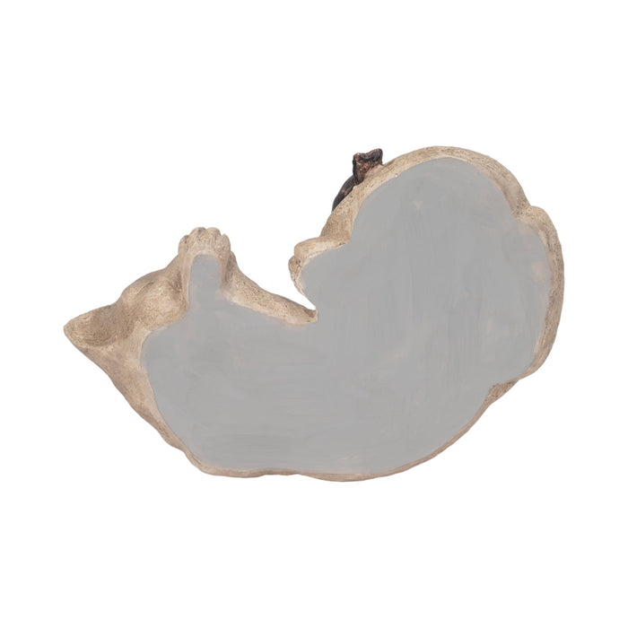 12-sleeping-kitty-with-birds-white-brown-8