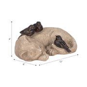 12-sleeping-kitty-with-birds-white-brown-9