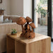 12-teak-wood-mushroom-cluster-natural-10