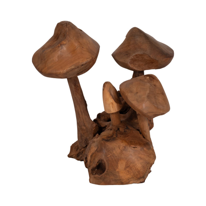 12-teak-wood-mushroom-cluster-natural-1