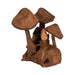12-teak-wood-mushroom-cluster-natural-2