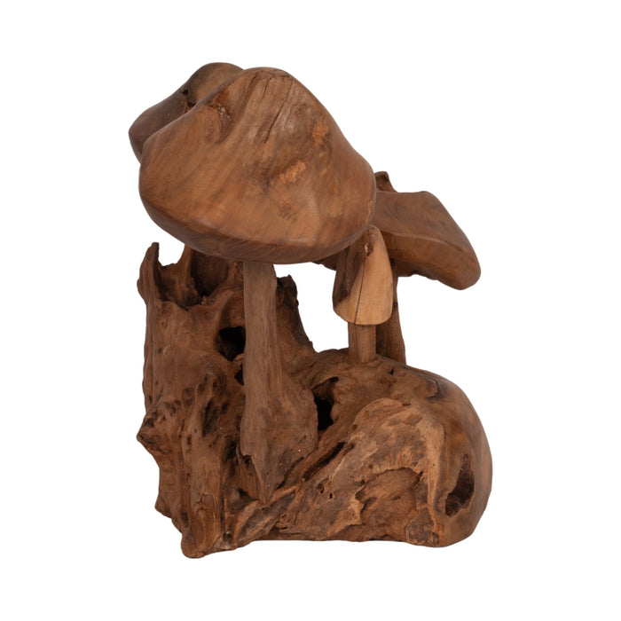 12-teak-wood-mushroom-cluster-natural-3
