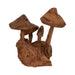 12-teak-wood-mushroom-cluster-natural-4