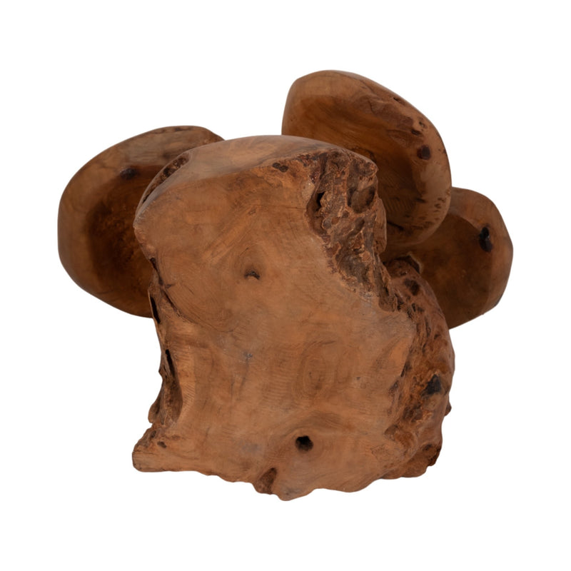 12-teak-wood-mushroom-cluster-natural-7