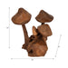 12-teak-wood-mushroom-cluster-natural-8