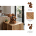 12-teak-wood-mushroom-cluster-natural-9